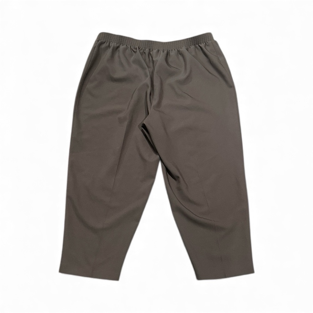 Just For Women Brown Pants 26WP